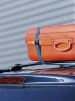 MasterLock Spanbanden oranje 2,5m x 25 mm (2 stuks)