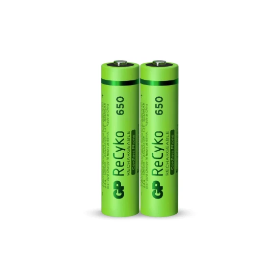 GP Oplaadbare AAA batterijen 650mAh ReCyko (2 stuks)