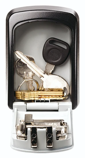MasterLock Mini Coffre Fort 5401EURD