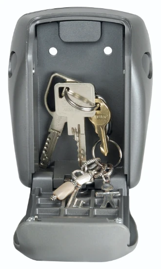 MasterLock Mini Coffre Fort 5415EURD