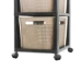 Rotho Brisen Ladekast 3 x 16L met wieltjes - Capp