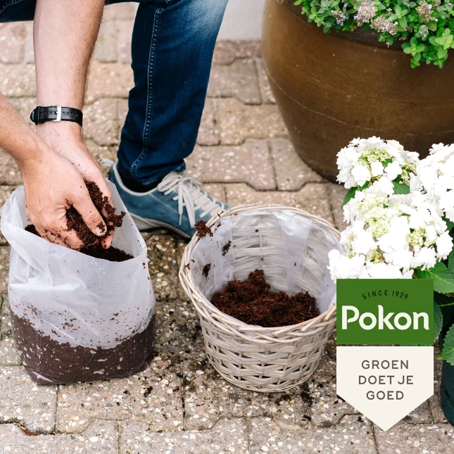 Pokon Kokos (Potgrond) Compact 10L