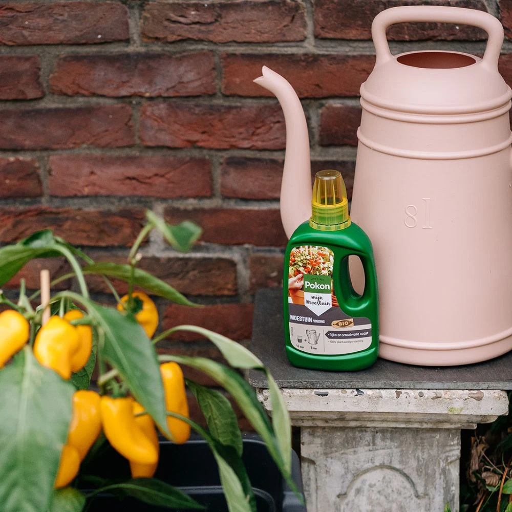 Pokon Bio Moestuin Voeding 500ml
