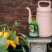 Pokon Bio Moestuin Voeding 500ml