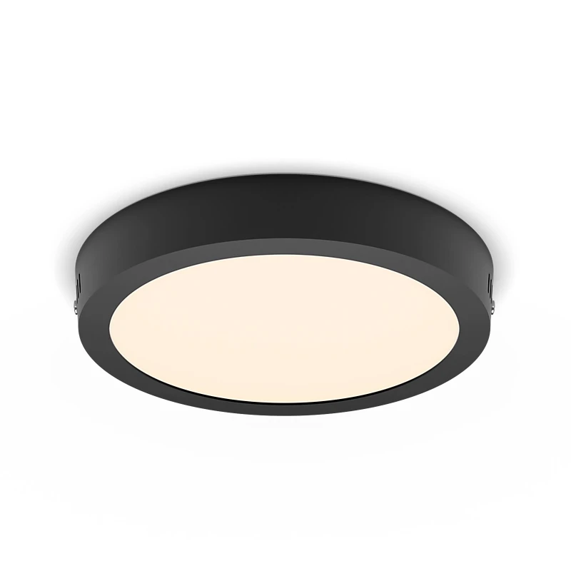 Philips LED-plafondlamp Magneos rond DL252 12W O210 mm zwart