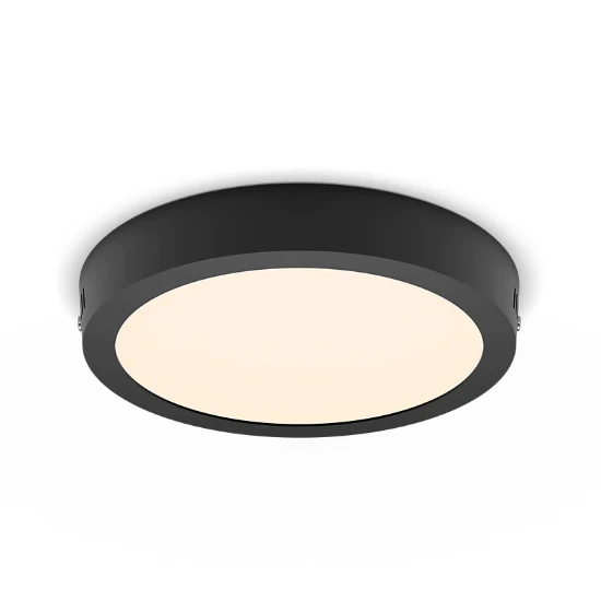 Philips LED-plafondlamp Magneos rond DL252 12W O210 mm zwart
