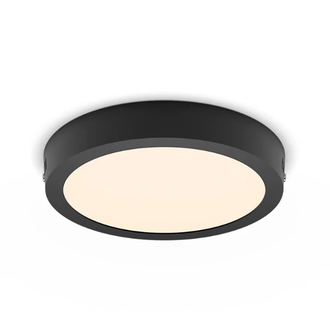 Philips LED-plafondlamp Magneos rond DL252 12W O210 mm zwart