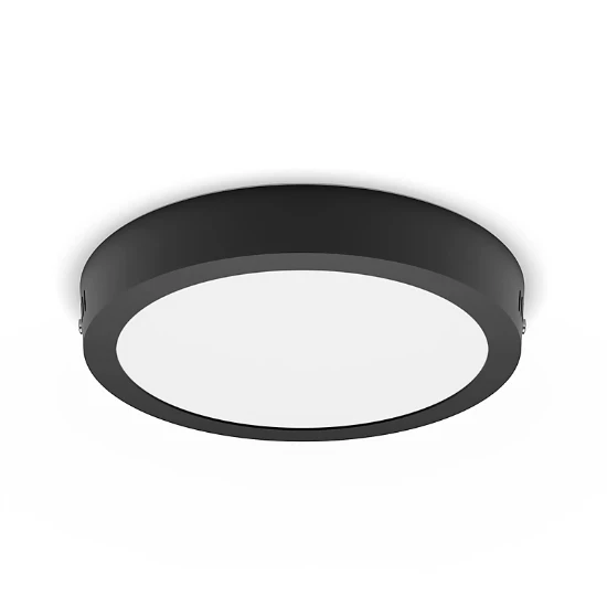 Philips LED-plafondlamp Magneos rond DL252 12W O210 mm zwart