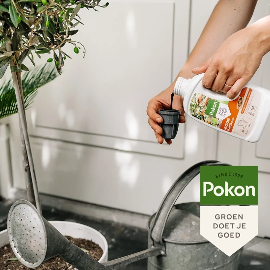 Pokon Bio Mediterrane Planten Voeding 500ml