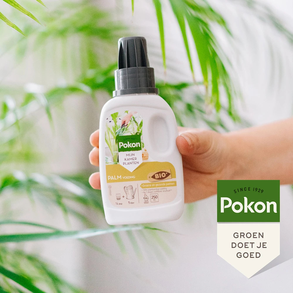 Pokon Bio Palm Voeding 250ml