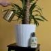 Pokon Bio Palm Voeding 250ml