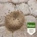 Pokon Tegen Mieren lokdoos (2 stuks)