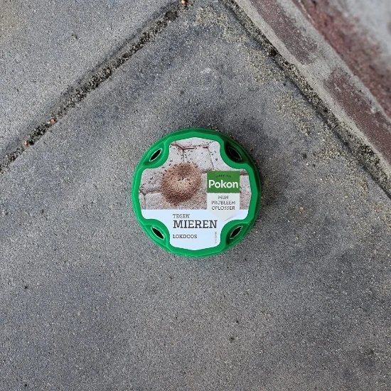Pokon Tegen Mieren lokdoos (2 stuks)
