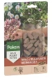 Pokon Bio Terras & Balkon Plant Voedingskegels 15