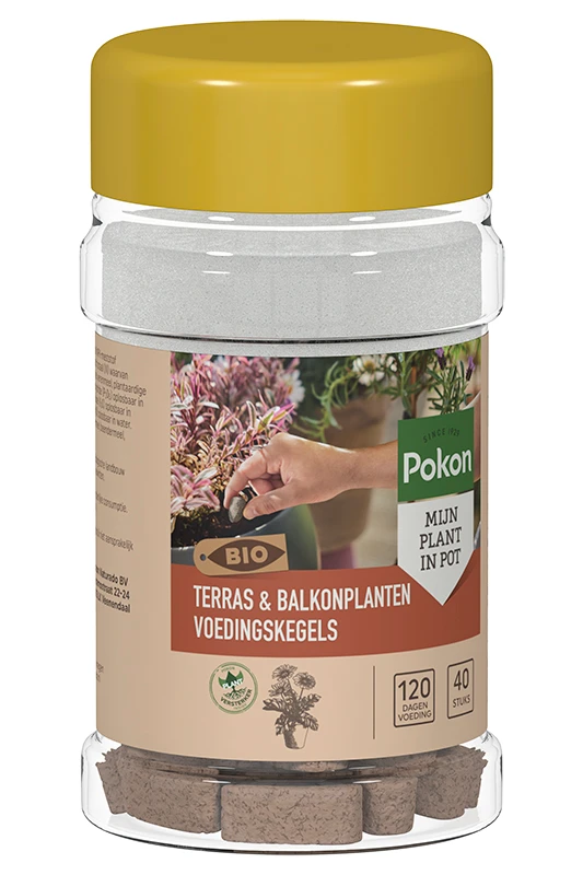 Pokon Bio Terras & Balkon Plant Voedingskegels 40