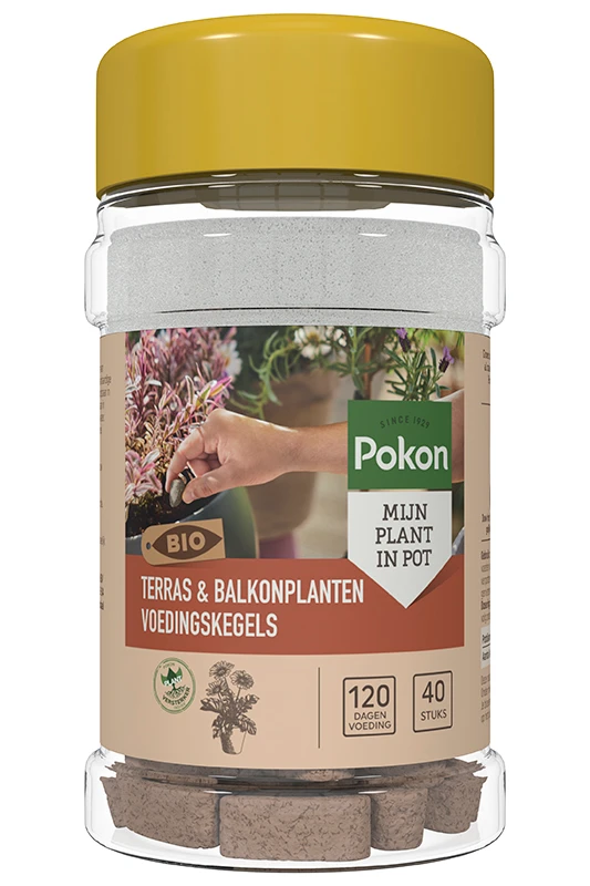 Pokon Bio Terras & Balkon Plant Voedingskegels 40