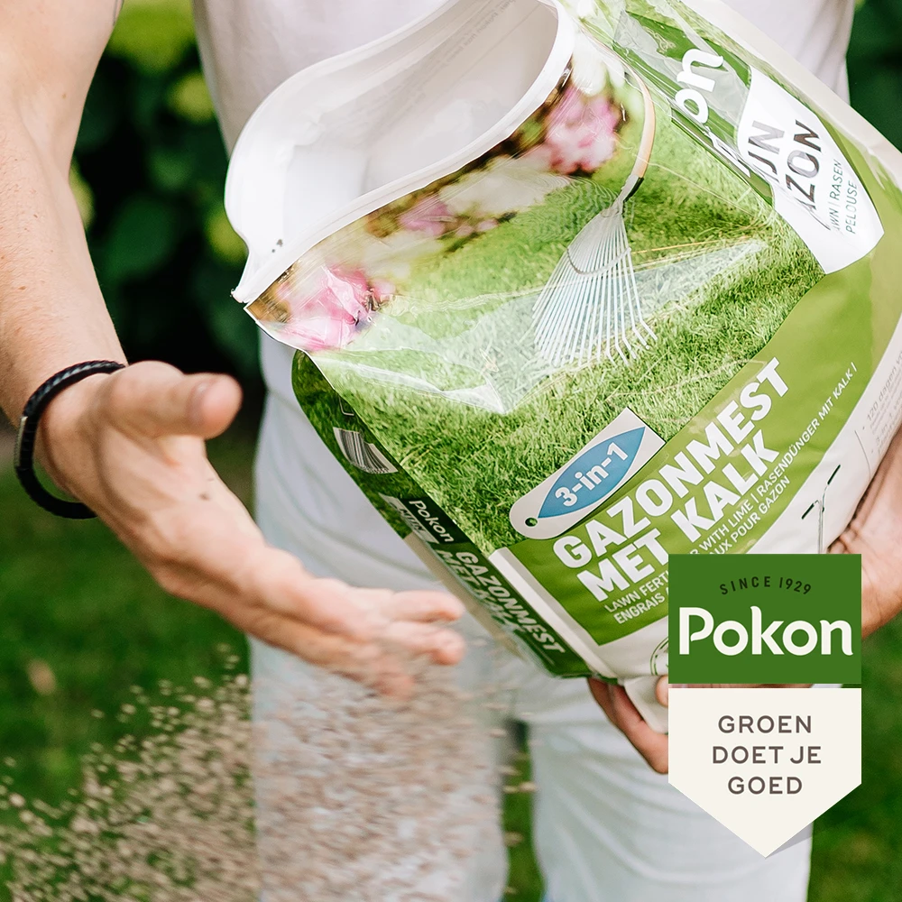 Pokon Gazonmest met Kalk 125m² (3-in-1)