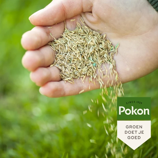 Pokon Graszaad RPR Inzaai 500 gram