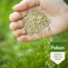 Pokon Graszaad RPR Inzaai 500 gram
