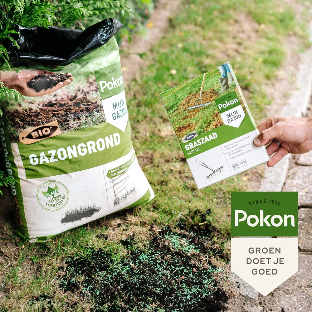 Pokon Graszaad Herstel 1kg