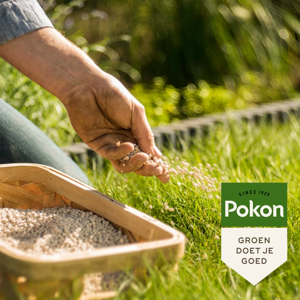 Pokon Bio Kalk 5kg