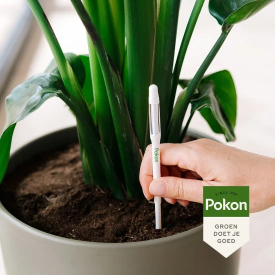 Pokon Watermeter voor Kamerplanten (1 stuk)