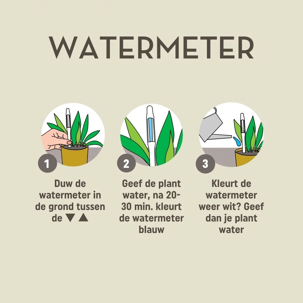 Pokon Watermeter voor Kamerplanten (1 stuk)