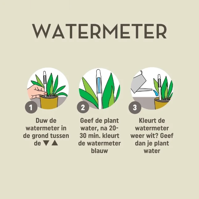 Pokon Watermeter voor Kamerplanten (1 stuk)