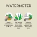 Pokon Watermeter voor Kamerplanten (1 stuk)