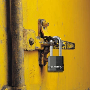 MasterLock Hangslot Excell 54mm - beugellengte 51mm