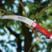 WOLF-Garten Takkenzaag Powercut  Saw 370