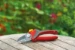 WOLF-Garten Snoeischaar Premium Plus RS 2500