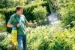 Gloria Drukspuit AutoPump - 5L