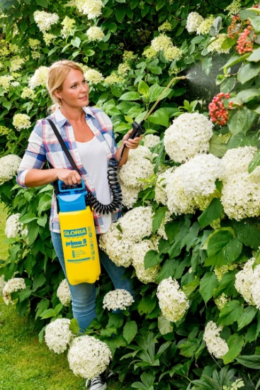 Gloria Drukspuit Prima 5 Comfort - 5L
