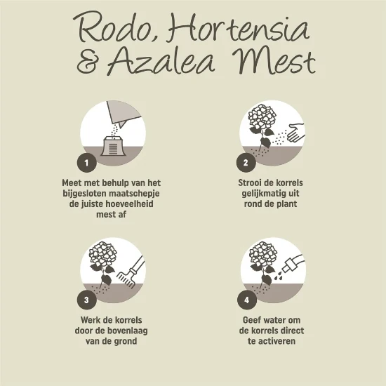 Pokon Rhododendron, Hortensia & Azalea Mest  2,5kg