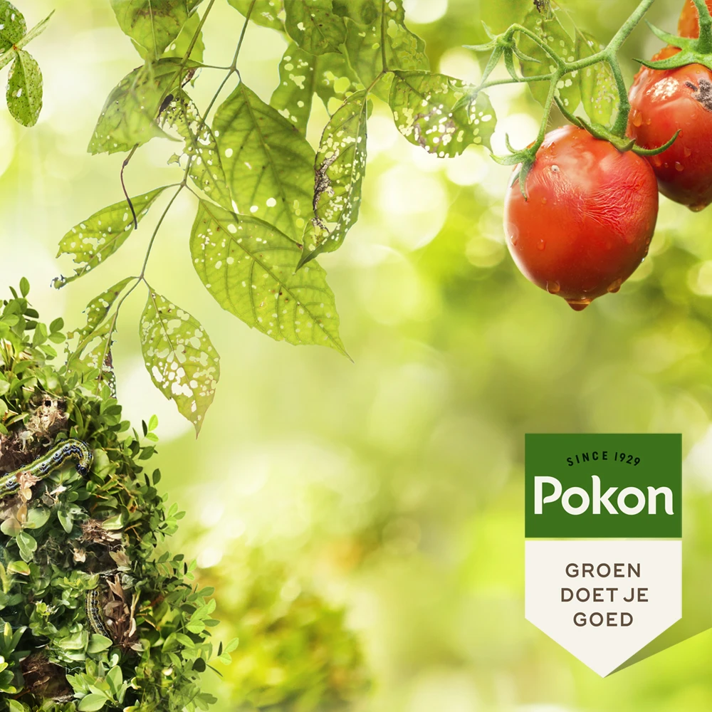 Pokon Bio Kuur Weerbare en Gezonde Planten Spray 750ml