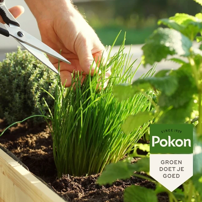 Pokon Bio Kruiden Mest 1kg