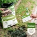 Pokon Graszaad Herstel 250 gram
