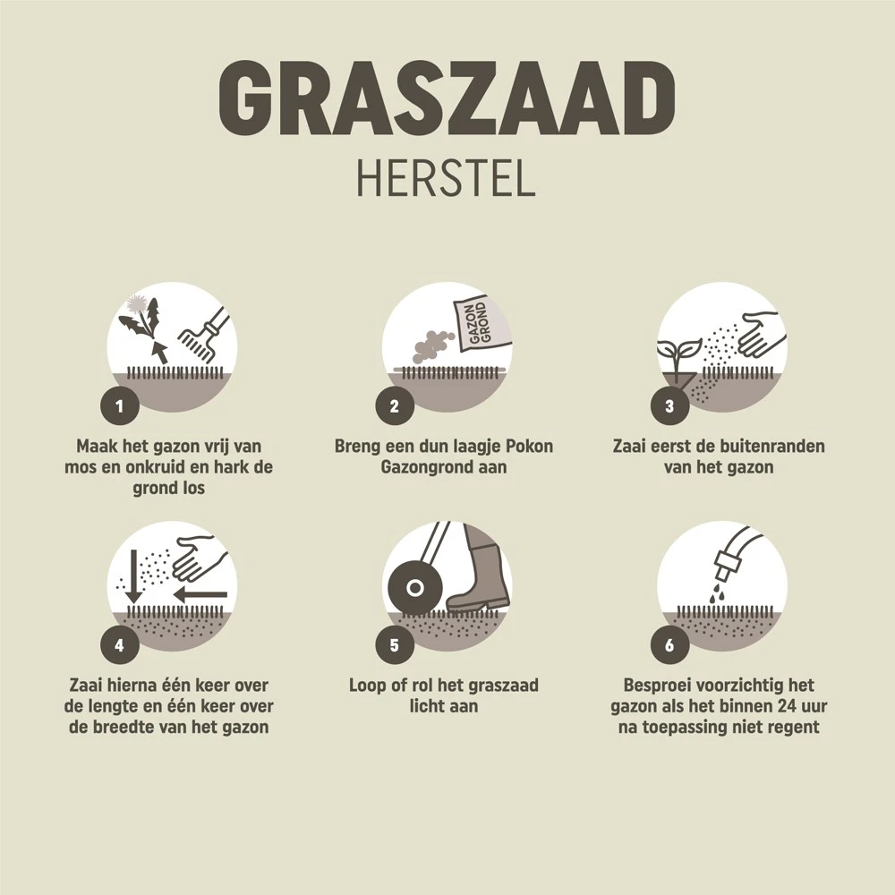 Pokon Graszaad Herstel 250 gram