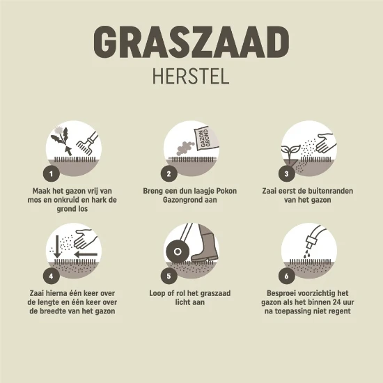 Pokon Graszaad Herstel 250 gram