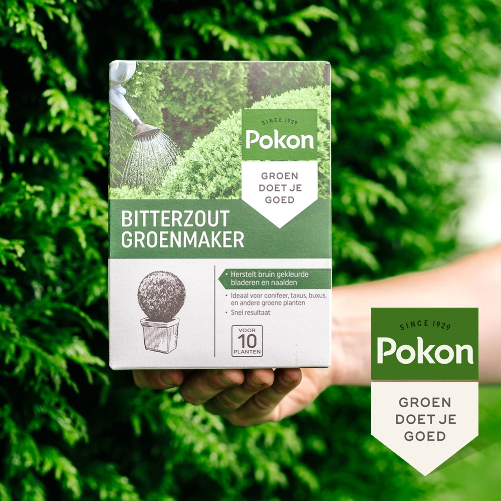 Pokon Bitterzout Groenmaker 500gr