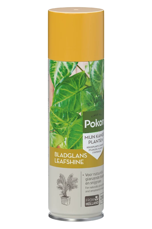 Pokon Bladglans kamerplanten