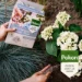 Pokon Rhododendron, Hortensia & Azalea Mest  2,5kg