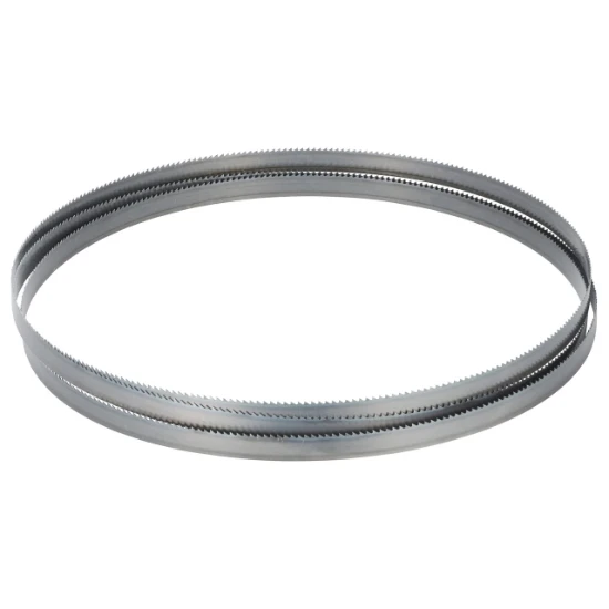 Bernardo Lintzaag HBS 600 N 4590x25x0,60 mm