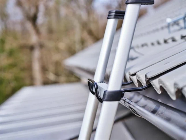Telesteps Slide Protector