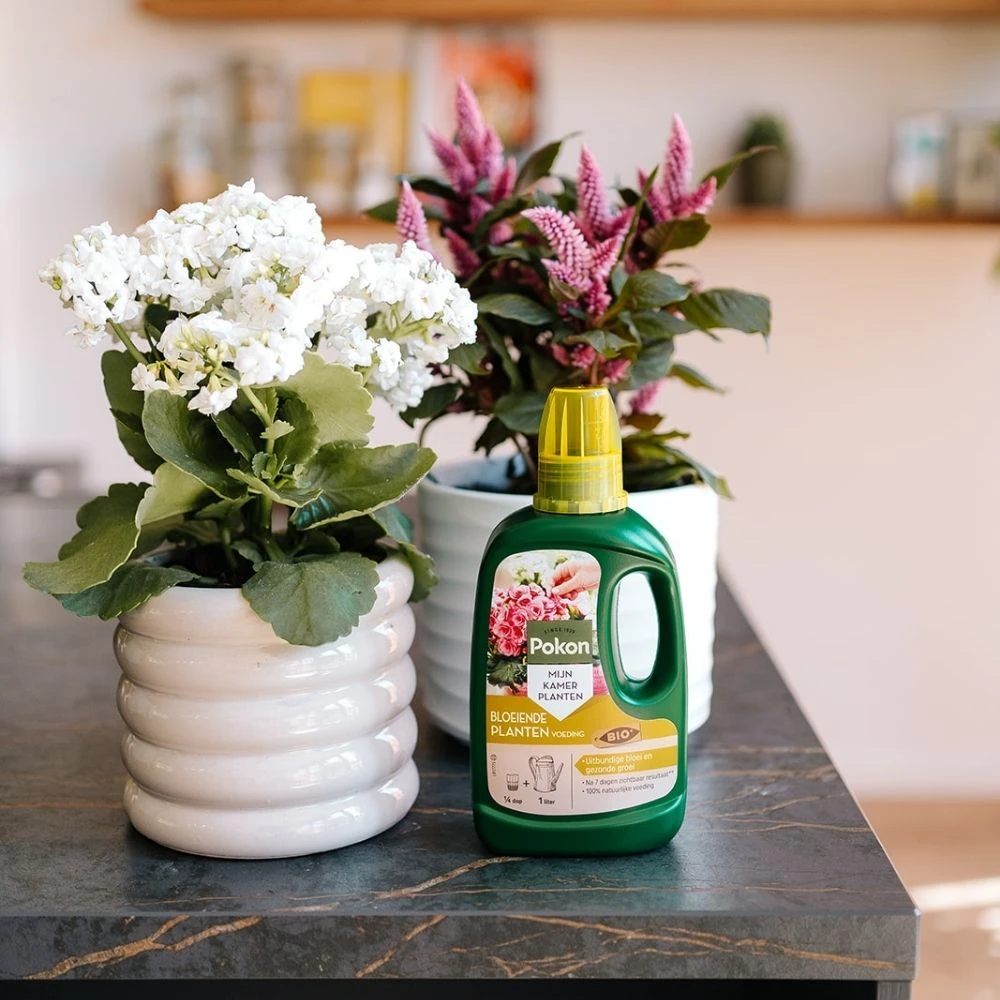 Pokon Bio Bloeiende Planten Voeding 500ml