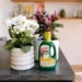 Pokon Bio Bloeiende Planten Voeding 500ml