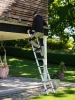 Telesteps Eco Line Telescopische ladder 3,0m