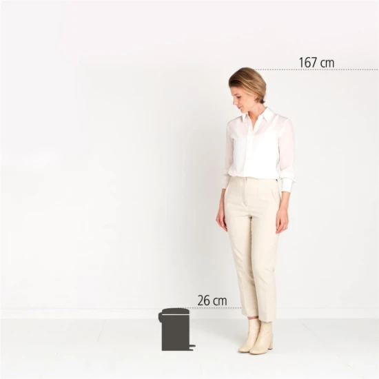 Brabantia Pedaalemmer Newicon 3L - platinum
