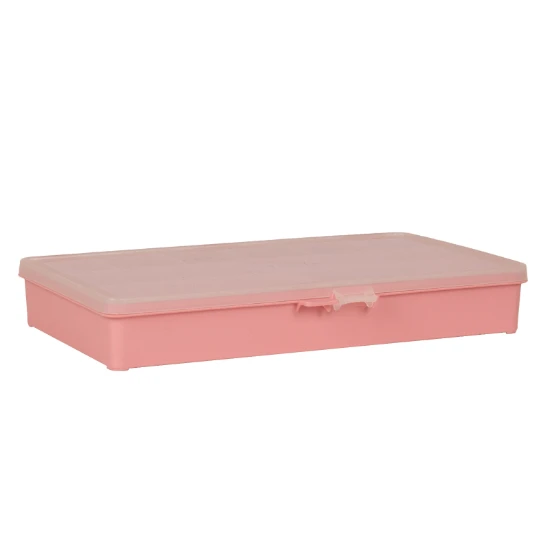 Raaco Assortimentsdoos B9 met 9 vakken roze